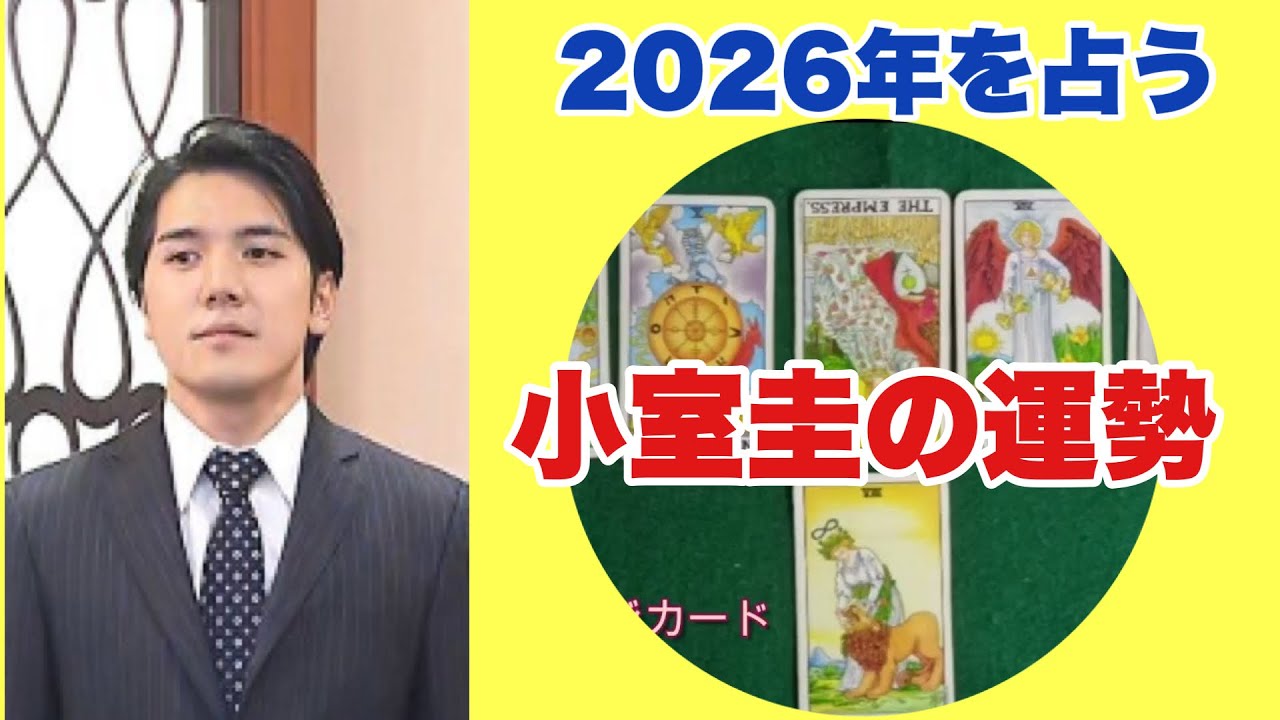 【2026年を占う】小室圭の今年の運勢をタロットカードで占ってみました