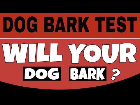 Dog Bark Test | This Sound Will Make Your Dogs Barking