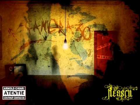 Fleascu   Catre nicaieri