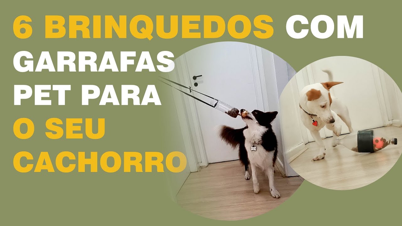 6 brinquedos para cachorro, feitos com garrafas pet