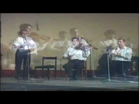 Miodrag Knezevic Knez Kosovski zvuci