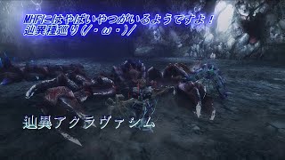 【MHF-Z】MHFにはやばいやつがいるようです！辿異種巡り6！(/・ω・)/【ゆっくり実況】