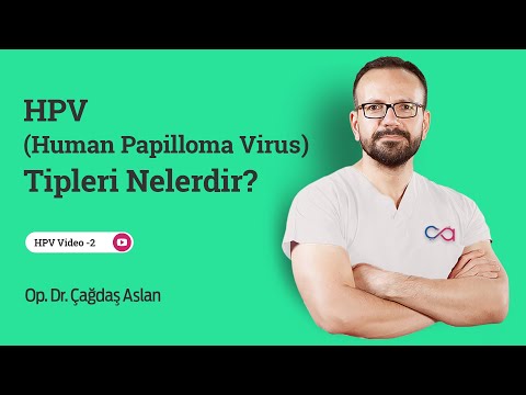 Papillomavirus humain vaccin
