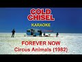 Forever now - [Remaster] Cold Chisel (karaoke) HD