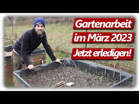Gartenarbeit März | Möhren Aussaat, Lavendelschnitt, Beerenobst pflanzen, Steckzwiebeln anbauen