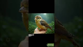 Download lagu #motivation _not_Beleve_every_one_for_Stage 😌😌😌 mp3 Download lagu #motivation _not_Beleve_every_one_for_Stage 😌😌😌 mp3