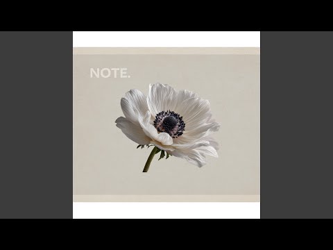 Colors Drift Across The Stillness