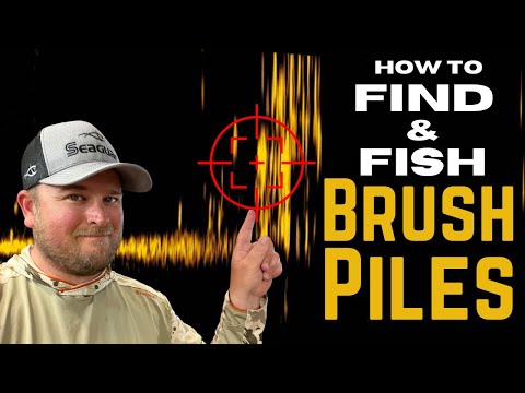 How To FIND And CATCH BASS Out Of BRUSH PILES!!  Catch MORE BASS Using These Strategies!