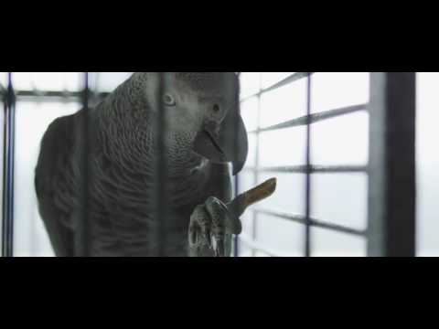 Hayce Lemsi   Haute Sphère Feat Haristone