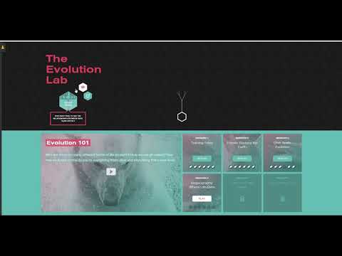 What to Turn in for the NOVA Evolution Lab