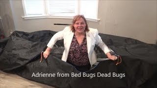Bed Bug Blaster Bag