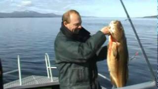 preview picture of video 'hitra zeevissen noorwegen hemnskjel deel 1_4.mpeg ( High Quality )'