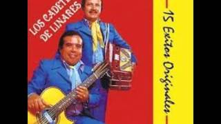 los cadetes de linares el que perdio