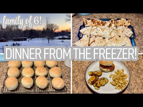 BUDGET MEALS FROM THE FREEZER & PIZZA QUESADILLAS!