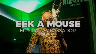 Eek A Mouse &amp; Irie Ites - Musical Ambassador - Murda Dem Riddim (Official Video)