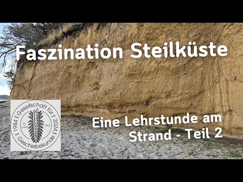 Faszination Steilküste - Fossilien suchen an der Ostsee