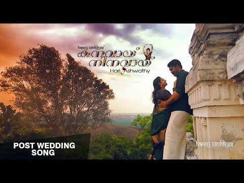 Kanavaai Ninavaai | Post Wedding Movie