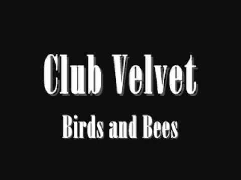 Club Velvet   Birds and Bees