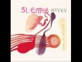 Sleater-Kinney - Prisstina