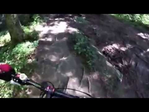 Hoher Hirschberg   Roots Downhill Singletrail   Ma