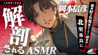 【P5X】北里基良に解剖される！？ASMR｜人気投票1位記念