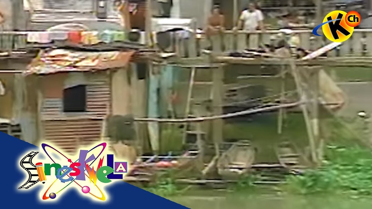 Water Pollution (River) | Sineskwela