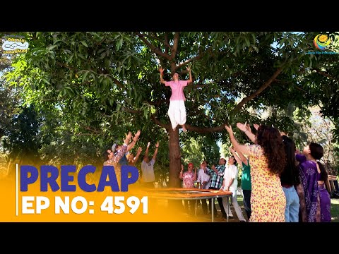 Ep 4591- PRECAP! | Taarak Mehta Ka Ooltah Chashmah | तारक मेहता का उल्टा चश्मा