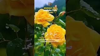 Download lagu sholawat Jibril pembuka Pintu Rezeki #sholawat #status #story #shortvideo #fyp mp3