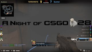 "YOU CAN DO IT":A Night of CSGO #28