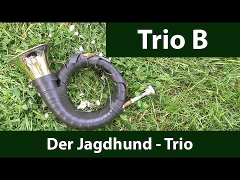 Der Jagdhund - Trio - Gedern 2016 (meyerch.de)