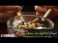 Asan Kami Kadan Nashai Hasay Asan Kami Kadan Nashai Saraiki Song Whats App Status
