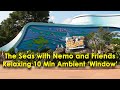 The Seas With Nemo And Friends Entrance EPCOT Ambient Window Video