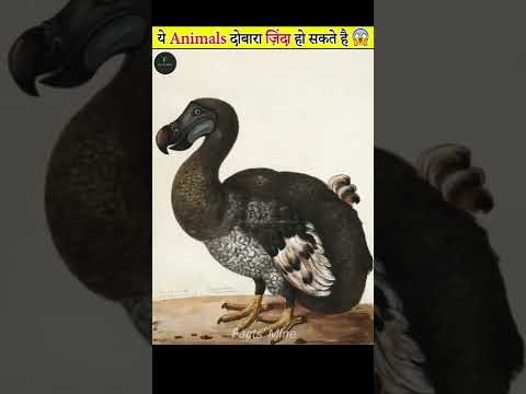 ये Animals दोबारा ज़िंदा हो सकतें हैं 😱 | Animals that Scientists can Revive #shorts #factsmine