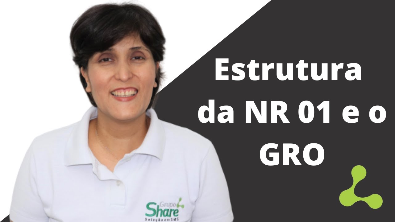 Compreendendo a estrutura da NR 01 e o GRO