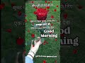 GOOD MORNING Video Good Morning Status Goodvibes Shortvideo Reels