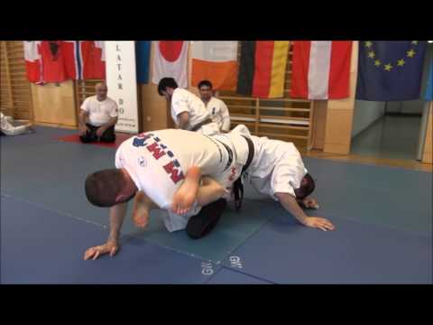 Int  seminar Vienna  23 04 2016  Part 2