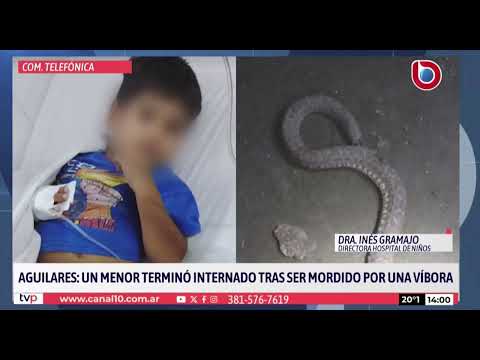 Aguilares: un menor terminó internado tras ser mordido por una víbora
