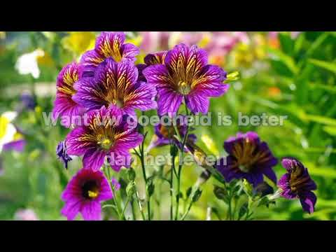 Opwekking 444 Heel mijn ziel roept naar U 1B