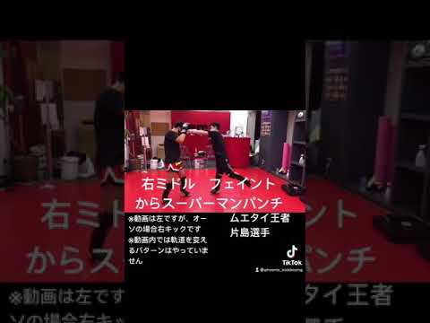 【ムエタイ王者直伝】右の蹴り6パターン。フェイント、蹴り分けに使えるテクニック