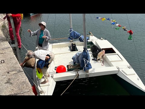 Parade of Sail : Wharram Hui 2022