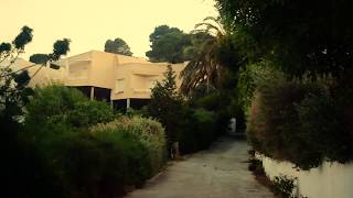 Fog Lake - Virgo Indigo