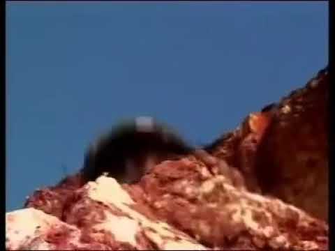 Zay B ft Juma nature- Gado