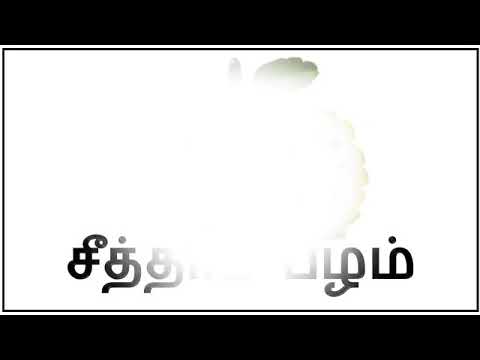 Fruits name Official video (Supriyo Tamil Official)