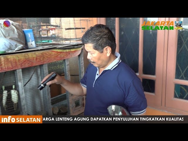 Walikota Monitor Pemberantasan Sarang Nyamuk di Kebayoran Lama Utara