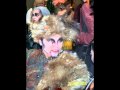 Lukasz Zagrobelny "Mowisz i masz" 