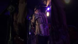 Lackluster ~ Poi dog Pondering 12/26/2016