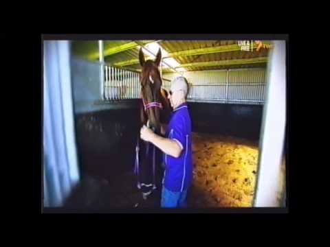 2014 MRC Caulfield Guineas Day _ Telecast Opening Title