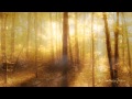 SECRET GARDEN - The Promise 