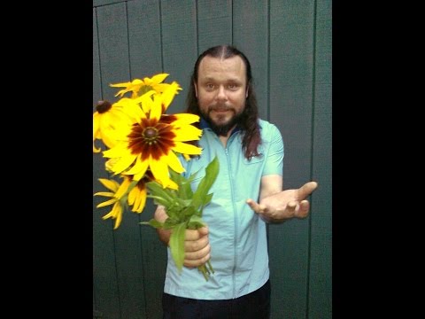 The Mattoid - Suicide