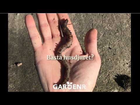 Älska masken - Trädgårdshacks med GardenR